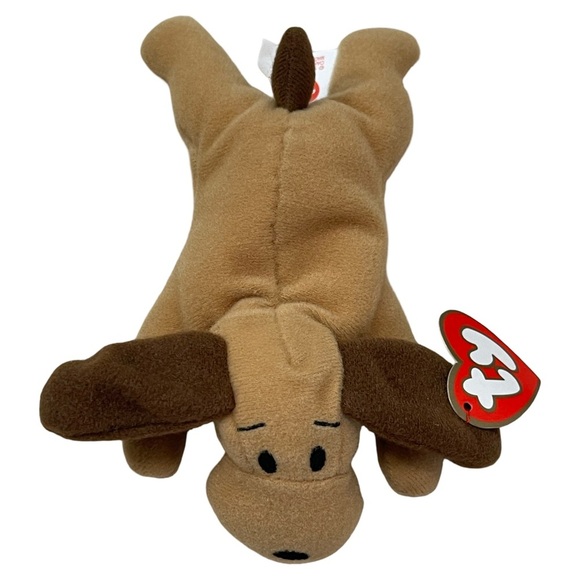 TY Teenie Beanie Babies Named Bones the Dog - Picture 1 of 4